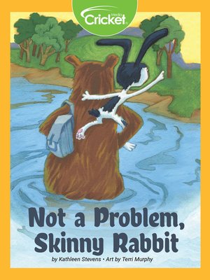 cover image of Not a Problem, Skinny Rabbit